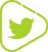 twitter green